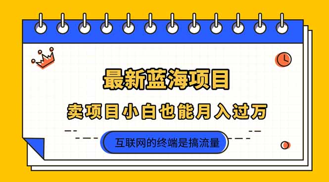 2025年最新蓝海项目，卖项目小白也能月入过万-优创项目网
