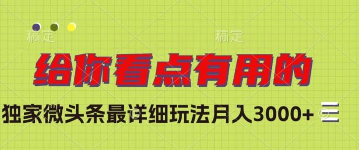 独家微头条最详细玩法，月入3000+【揭秘】-优创项目网