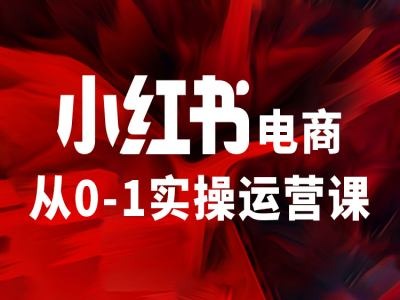 小红书电商从0-1实操运营课，让你从小白到精英-优创项目网