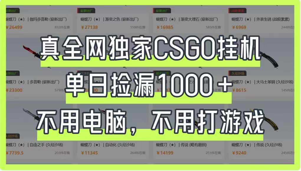 真全网独家CSGO挂机，单日捡漏1000+，不用电脑，不用养号-优创项目网