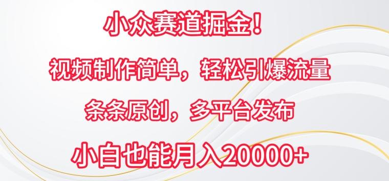 小众赛道掘金，视频制作简单，轻松引爆流量，条条原创，多平台发布【揭秘】-优创项目网