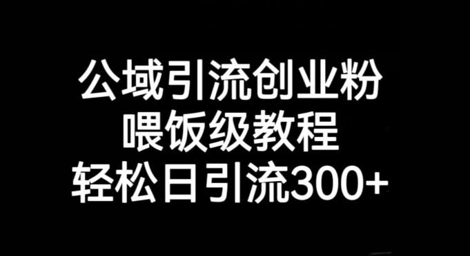 公域引流创业粉，喂饭级教程，轻松日引流300+【揭秘】-优创项目网