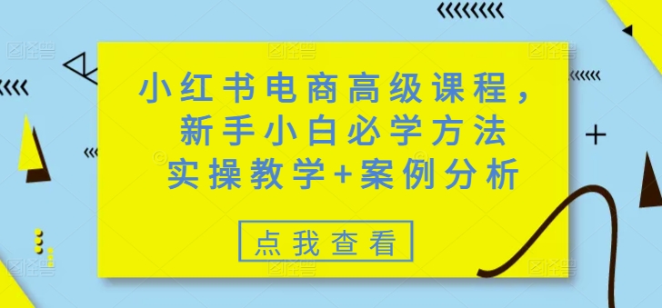 小红书电商高级课程，新手小白必学方法，实操教学+案例分析-优创项目网