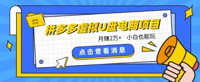 拼多多虚拟U盘电商红利项目：月赚2万+，新手小白也能玩-优创项目网