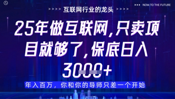 什么！25年你还在找项目做？风口早就变了，卖项目才是稳挣不赔【揭秘】-优创项目网