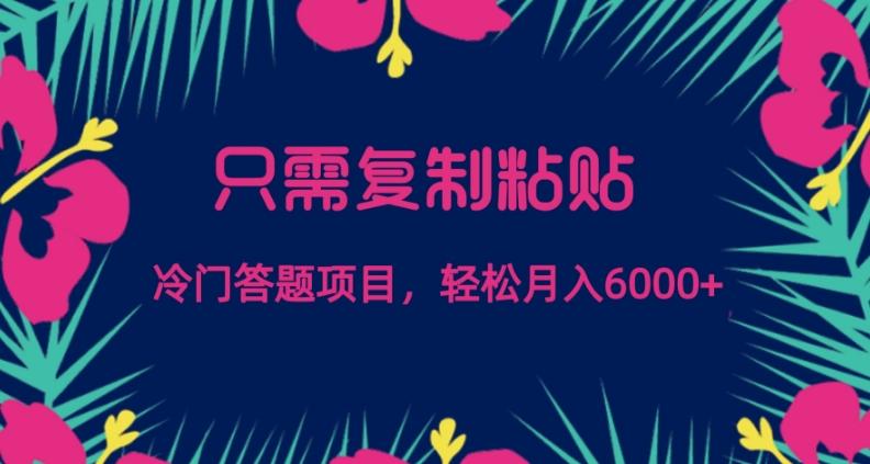 只需复制粘贴，冷门答题项目，轻松月入6000-优创项目网