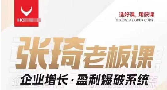 【组合课】张琦张琦老板企业增长·盈利爆破系统（直播专享）-优创项目网