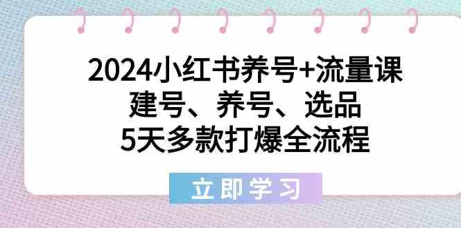 2024小红书养号+流量课：建号、养号、选品，5天多款打爆全流程-优创项目网