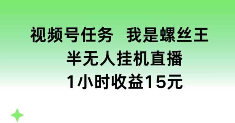 视频号任务，我是螺丝王， 半无人挂机1小时收益15元【揭秘】-优创项目网