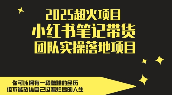 2025超火项目，副业最佳选择，小红书笔记带货团队实操落地项目，，轻松日入5张-优创项目网