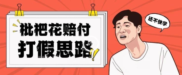 最新打假原料枇杷花赔付玩法一单收益1000+小白轻松下车【详细视频玩法教程】【仅揭秘】-优创项目网