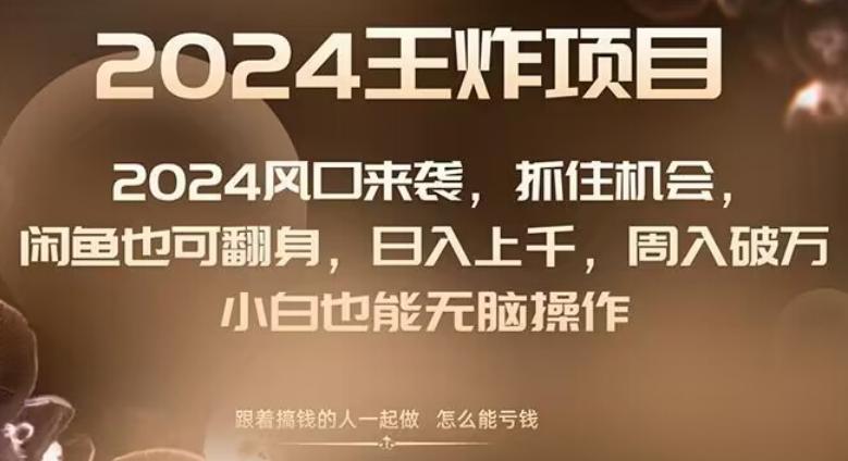 2024风口项目来袭，抓住机会，闲鱼也可翻身，日入上千，周入破万，小白也能无脑操作-优创项目网
