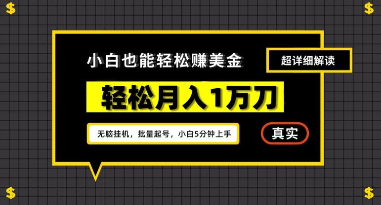 谷歌看广告撸美金2.0，无脑挂机，多号操作，月入1万刀【揭秘】-优创项目网