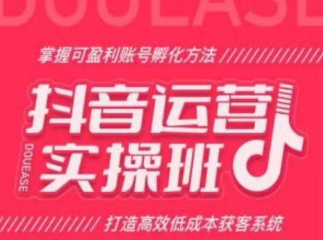 抖音运营实操班，掌握可盈利账号孵化方法，打造高效低成本获客系统-优创项目网