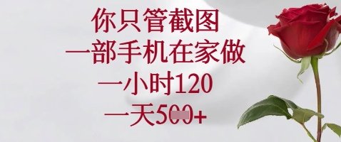 你只管截图，一部手机在家做，苹果安卓都可以，一小时120，一天5张+【揭秘】-优创项目网