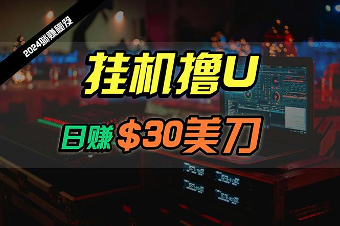 (10013期)日赚30美刀，2024最新海外挂机撸U内部项目，全程无人值守，可批量放大-优创项目网