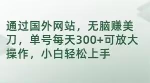通过国外网站，无脑赚美刀，单号每天300+可放大操作，小白轻松上手【揭秘】-优创项目网