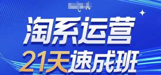 淘系运营21天速成班(更新24年6月)，0基础轻松搞定淘系运营，不做假把式-优创项目网