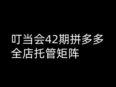 叮当会拼多多打爆班原创高阶技术第42期，拼多多全店托管矩阵-优创项目网
