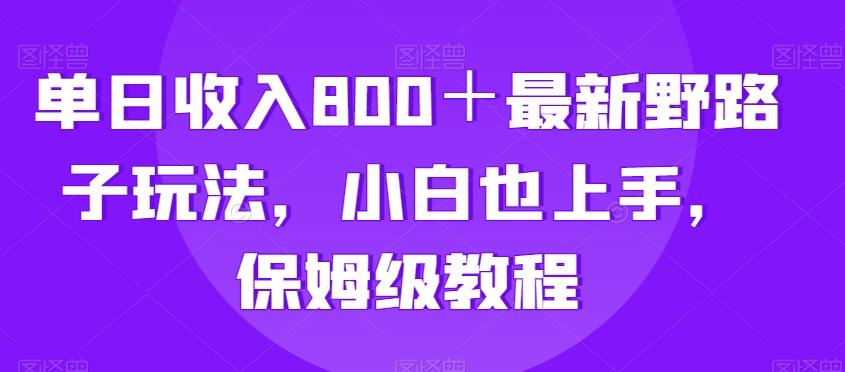 单日收入800＋最新野路子玩法，小白也上手，保姆级教程-优创项目网