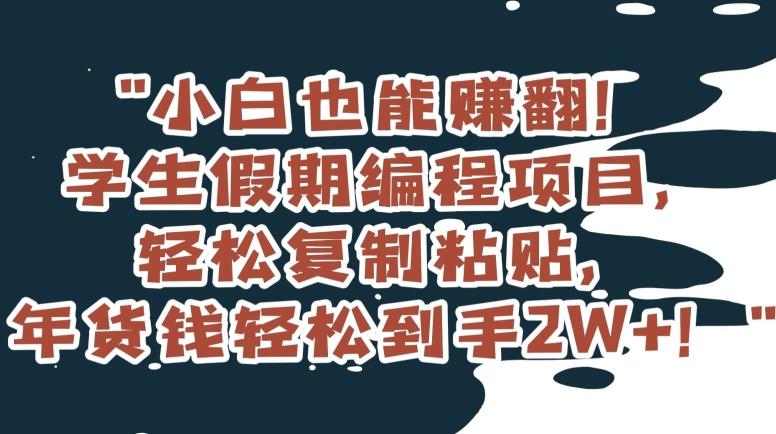 小白也能赚翻！学生假期编程项目，轻松复制粘贴，年货钱轻松到手2W+【揭秘】-优创项目网