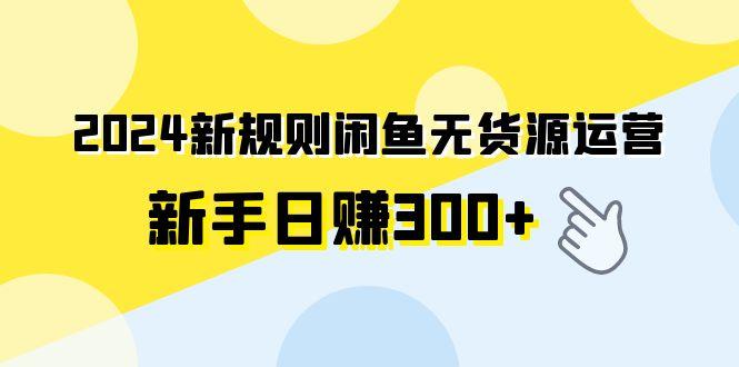 (9522期)2024新规则闲鱼无货源运营新手日赚300+-优创项目网