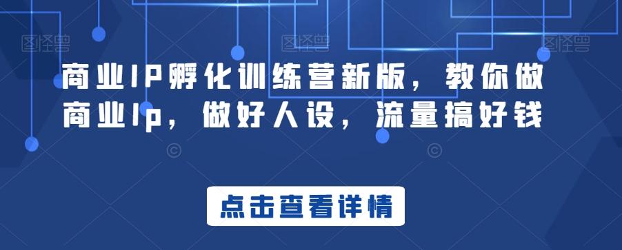 商业IP孵化训练营新版，教你做商业Ip，做好人设，流量搞好钱-优创项目网