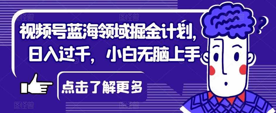 视频号蓝海领域掘金计划，日入过千，小白无脑上手【揭秘】-优创项目网