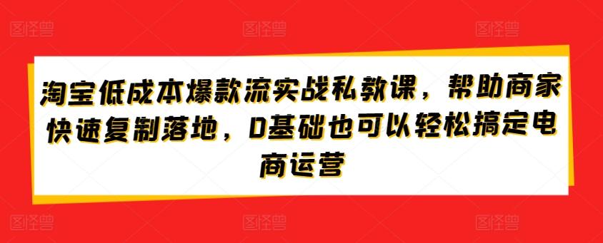 淘宝低成本爆款流实战私教课，帮助商家快速复制落地，0基础也可以轻松搞定电商运营-优创项目网