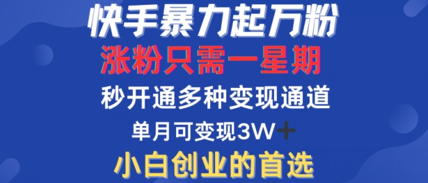 快手暴力起万粉，涨粉只需一星期，多种变现模式，直接秒开万合，单月变现过W【揭秘】-优创项目网
