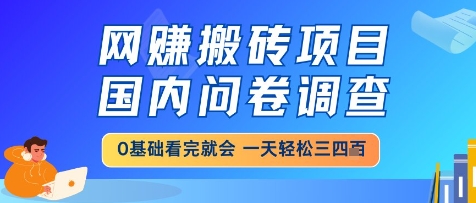 网创搬砖项目，国内问卷调查，小白轻松上手，一天三四张的也不难，干就完了【揭秘】-优创项目网