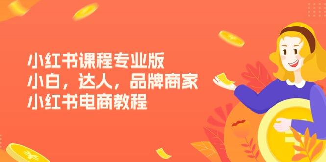 小红书课程专业版，小白，达人，品牌商家，小红书电商教程(15节-优创项目网