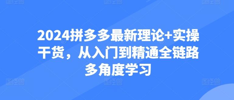 2024拼多多最新理论+实操干货，从入门到精通全链路多角度学习-优创项目网
