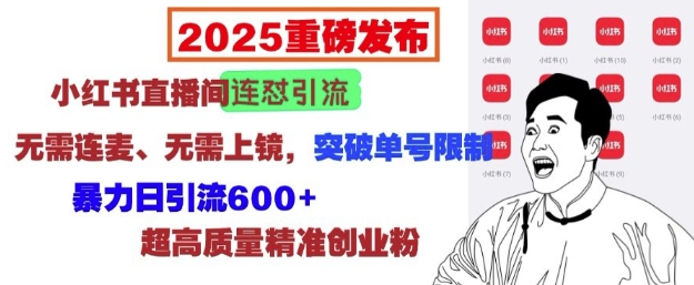 2025重磅发布：小红书直播间连怼引流，无需连麦、无需上镜，突破单号限制，暴力日引流600+-优创项目网
