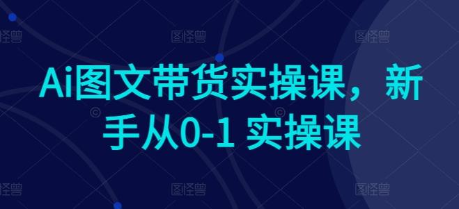 Ai图文带货实操课，新手从0-1 实操课-优创项目网