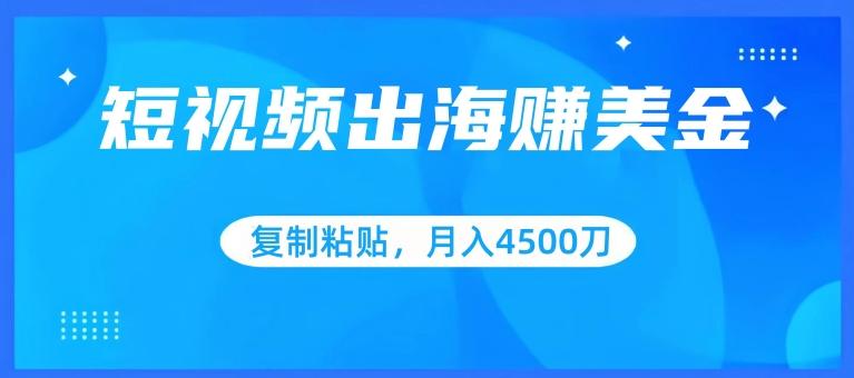 短视频出海赚美金，复制粘贴批量操作，小白轻松掌握，月入4500美刀【揭秘】-优创项目网