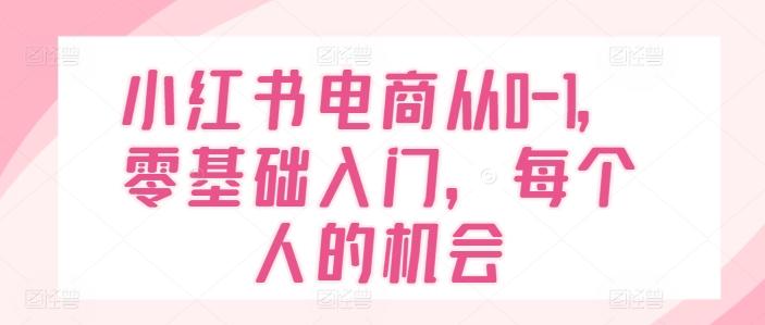 小红书电商从0-1，零基础入门，每个人的机会-优创项目网