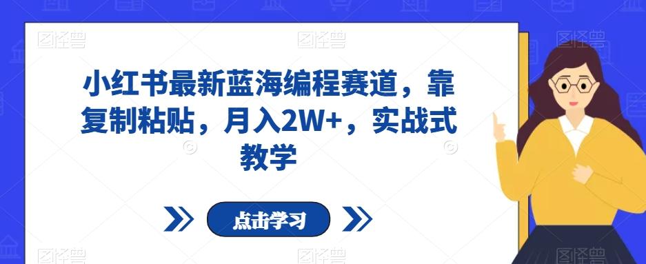 小红书最新蓝海编程赛道，靠复制粘贴，月入2W+，实战式教学【揭秘】-优创项目网