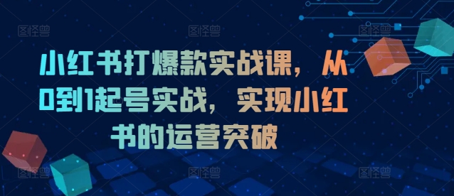 小红书打爆款实战课，从0到1起号实战，实现小红书的运营突破-优创项目网