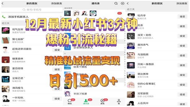 12月最新小红书3分钟爆粉引流秘籍 精准私域流量变现 日引500+-优创项目网