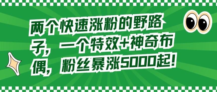 两个快速涨粉的野路子，一个特效+神奇布偶，粉丝暴涨5000起【揭秘】-优创项目网