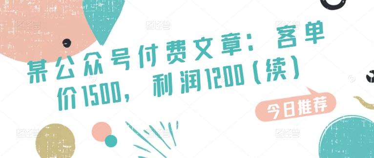 某公众号付费文章：客单价1500，利润1200(续)，市场几乎可以说是空白的-优创项目网