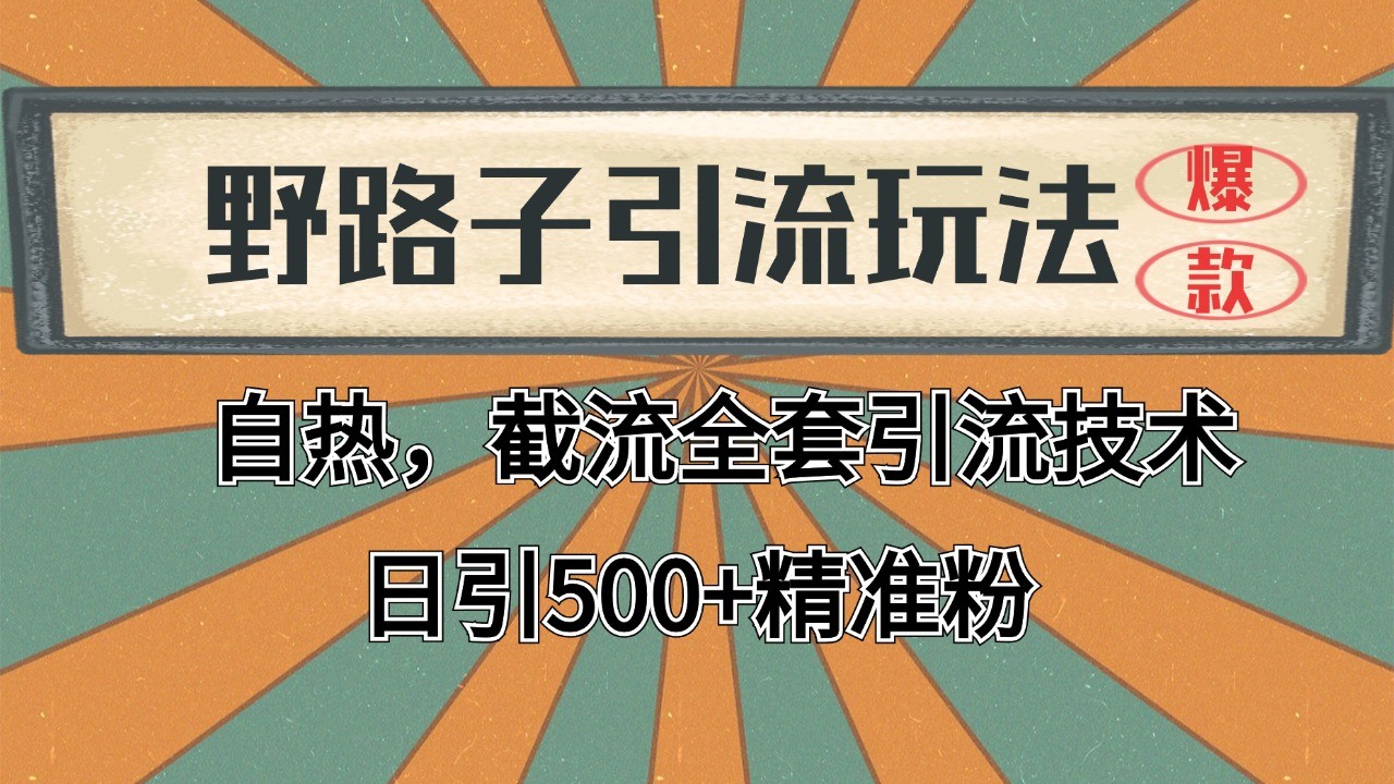 抖音小红书视频号全平台引流打法，全自动引流日引2000+精准客户-优创项目网