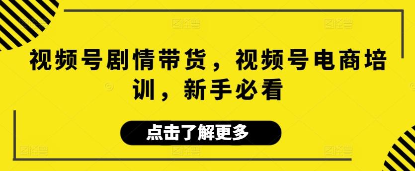 视频号剧情带货，视频号电商培训，新手必看-优创项目网