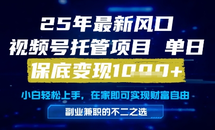 25年最新风口，视频号托管项目，单日保底变现1k+，手把手教学【揭秘】-优创项目网