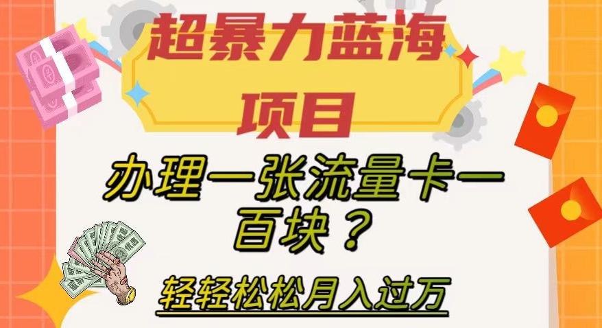 超暴力蓝海项目，办理一张流量卡一百块？轻轻松松月入过万，保姆级教程【揭秘】-优创项目网