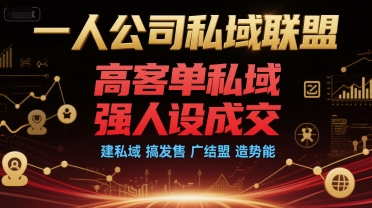 一人公司私域联盟，高客单私域，强人设成交，建私域 搞发售 广结盟 造势能-优创项目网