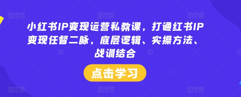 小红书IP变现运营私教课，打通红书IP变现任督二脉，底层逻辑、实操方法、战训结合-优创项目网