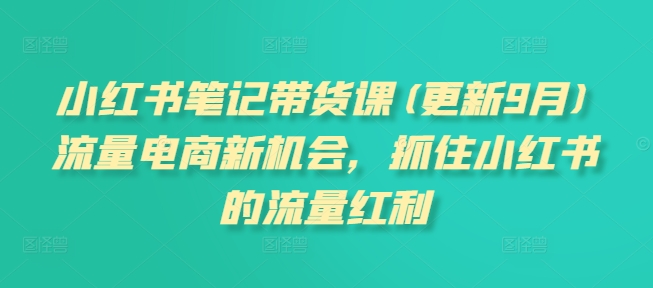 小红书笔记带货课(更新25年2月)流量电商新机会，抓住小红书的流量红利-优创项目网