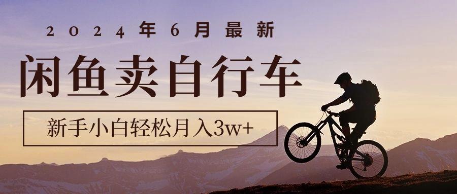 2024年6月最新闲鱼卖自行车，新手小白轻松月入3w+项目-优创项目网